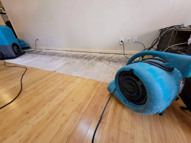 Reliable Structural Drying And Dehumidification contractor in Jobstown, NJ by Hirex Water Damage