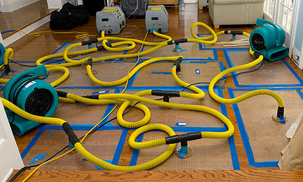 Professional Structural Drying And Dehumidification technician working in Jobstown, NJ